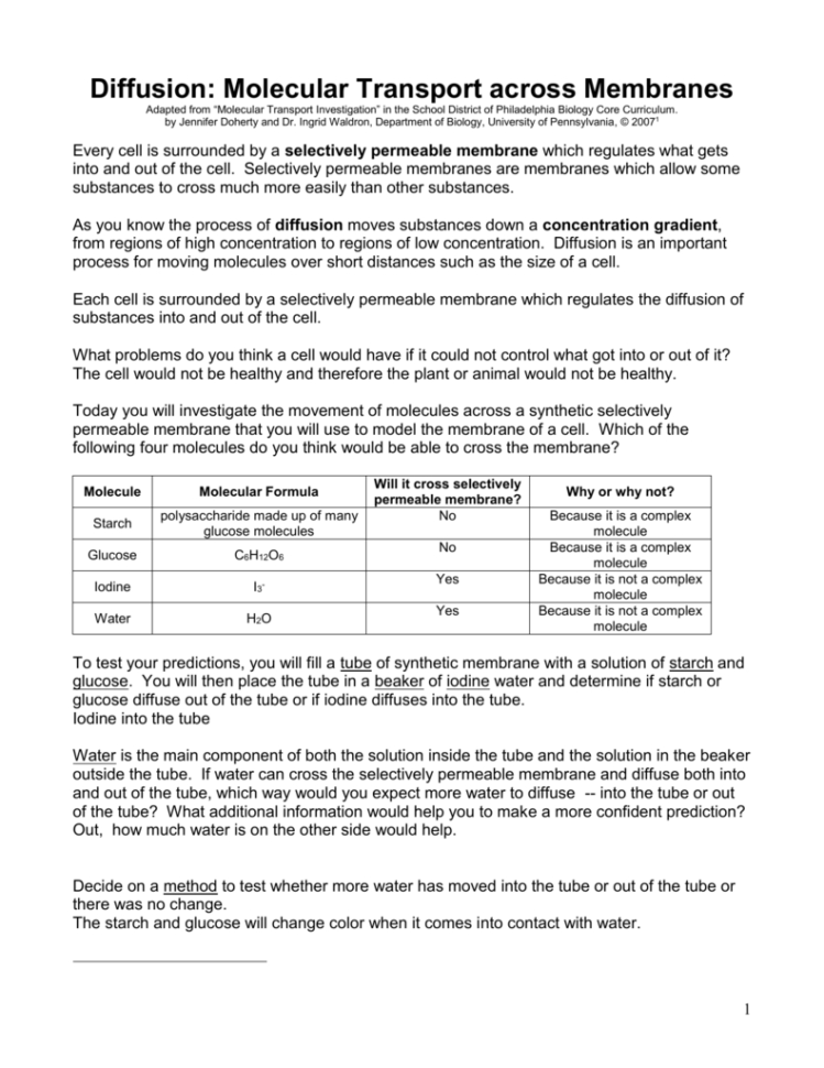 Diffusion Molecular Transport Across Membranes