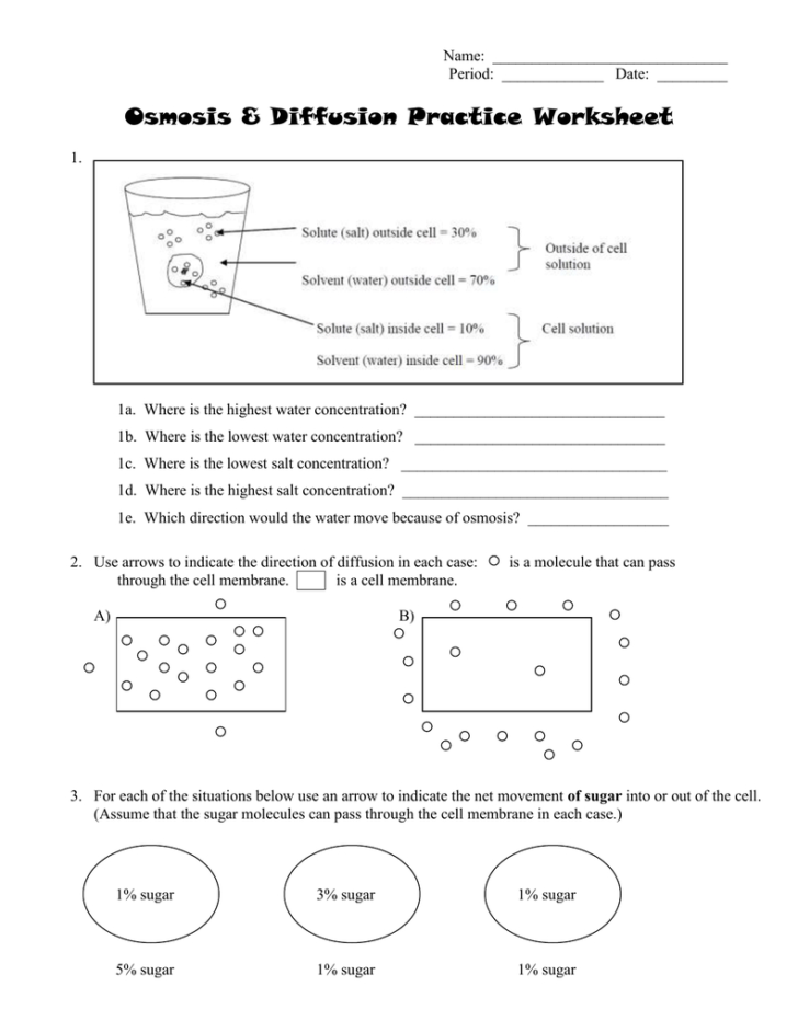 Diffusion And Osmosis Worksheet Answers Biology