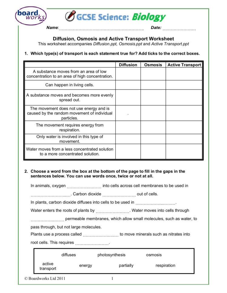 Diffusion Osmosis And Active Transport Worksheet