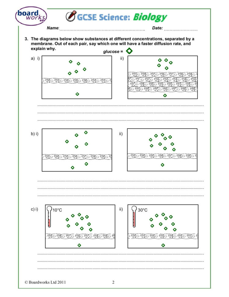 Diffusion Osmosis And Active Transport Worksheet
