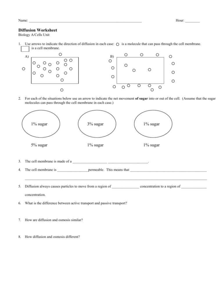 Diffusion Worksheet Answers — db-excel.com