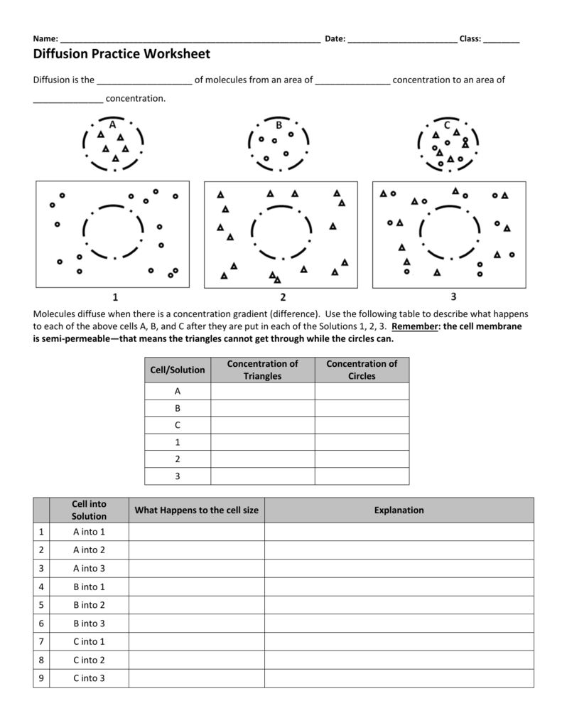 diffusion-worksheet-answers-db-excel