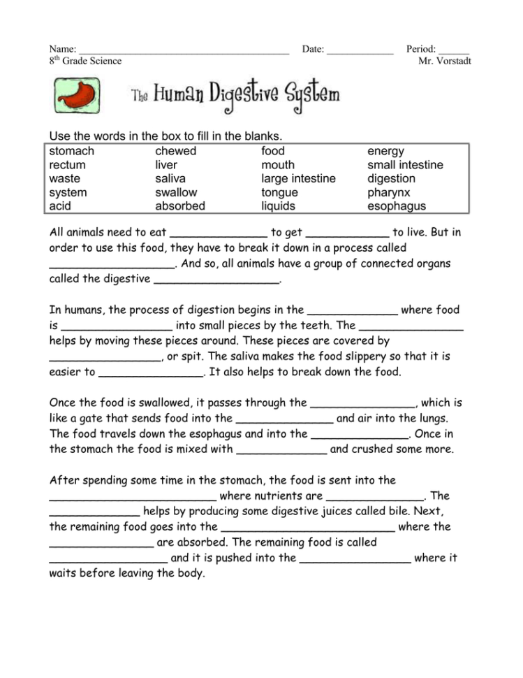 Digestion Worksheet