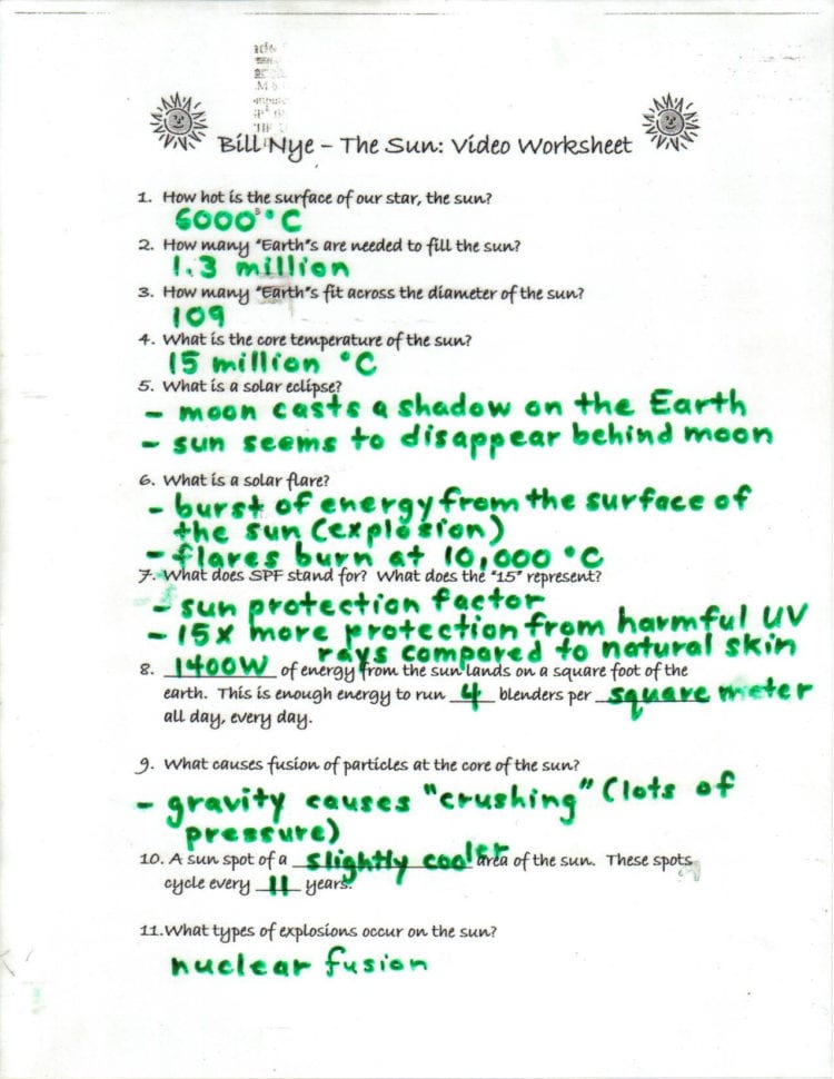 Digestion Worksheet Answer Key
