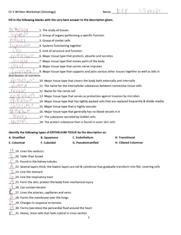 Digestive System Coloring Page Answers – Keynotesheetco