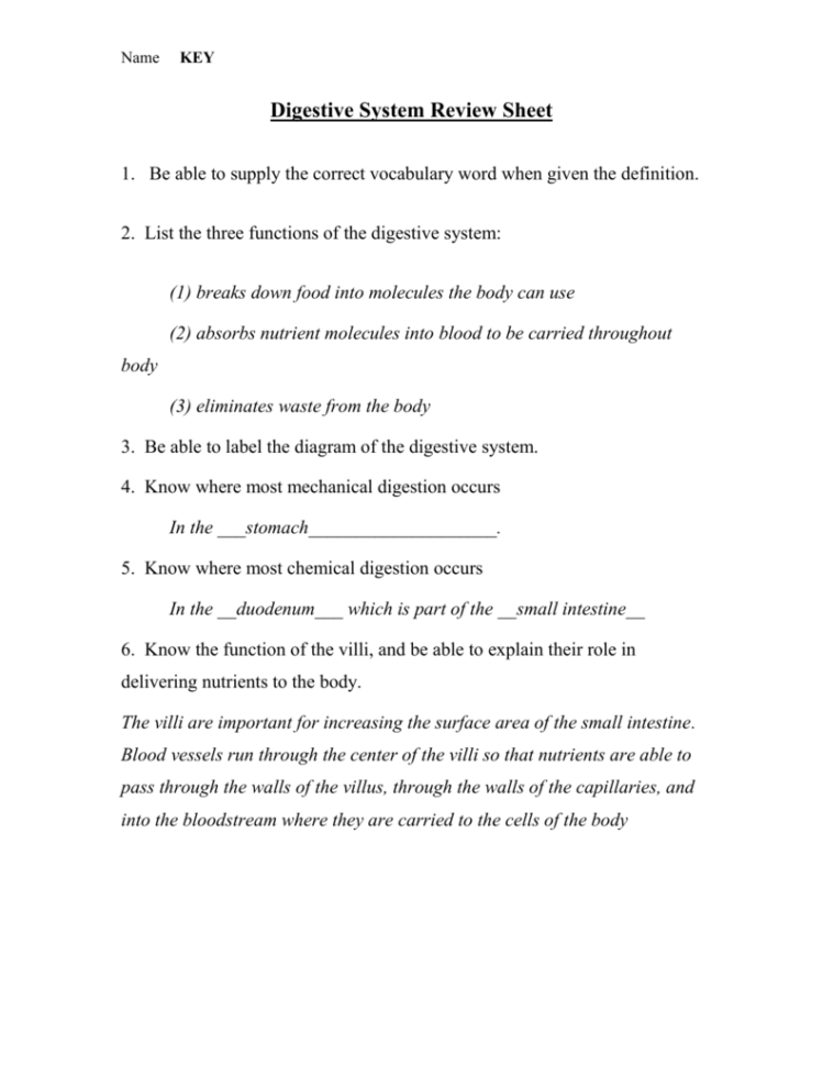 Digestive System Review Sheet Key