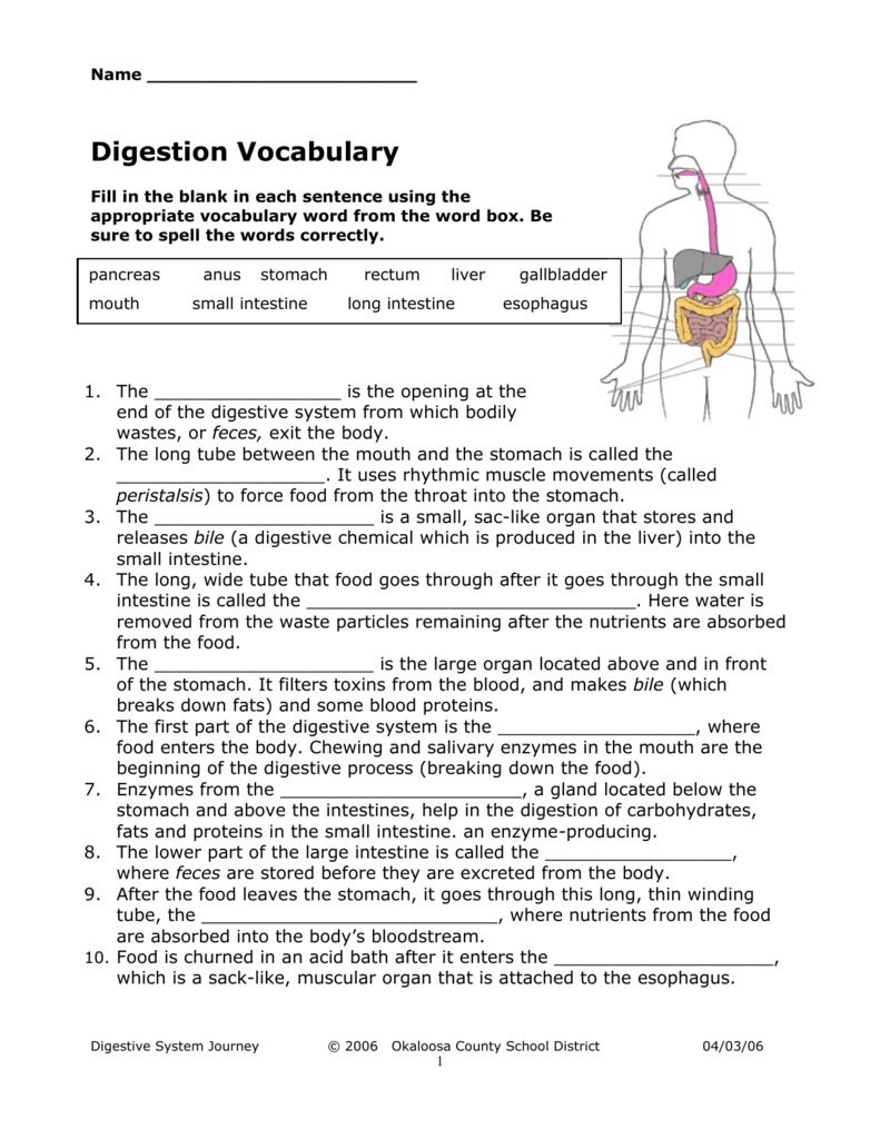 Digestion Worksheet Answer Key | db-excel.com