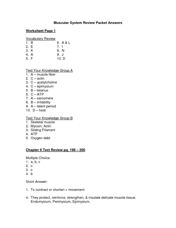 The Human Digestive System Worksheet Answers