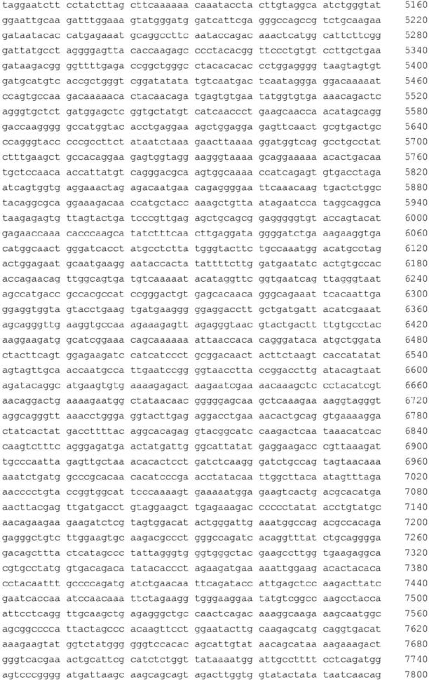 Dimensional Analysis Worksheet 5400 Inches To Miles