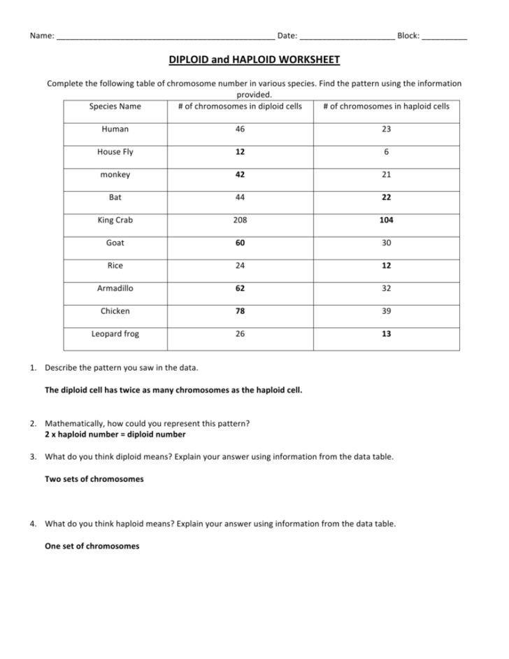 Chromosome Worksheet Answer Key Db excel