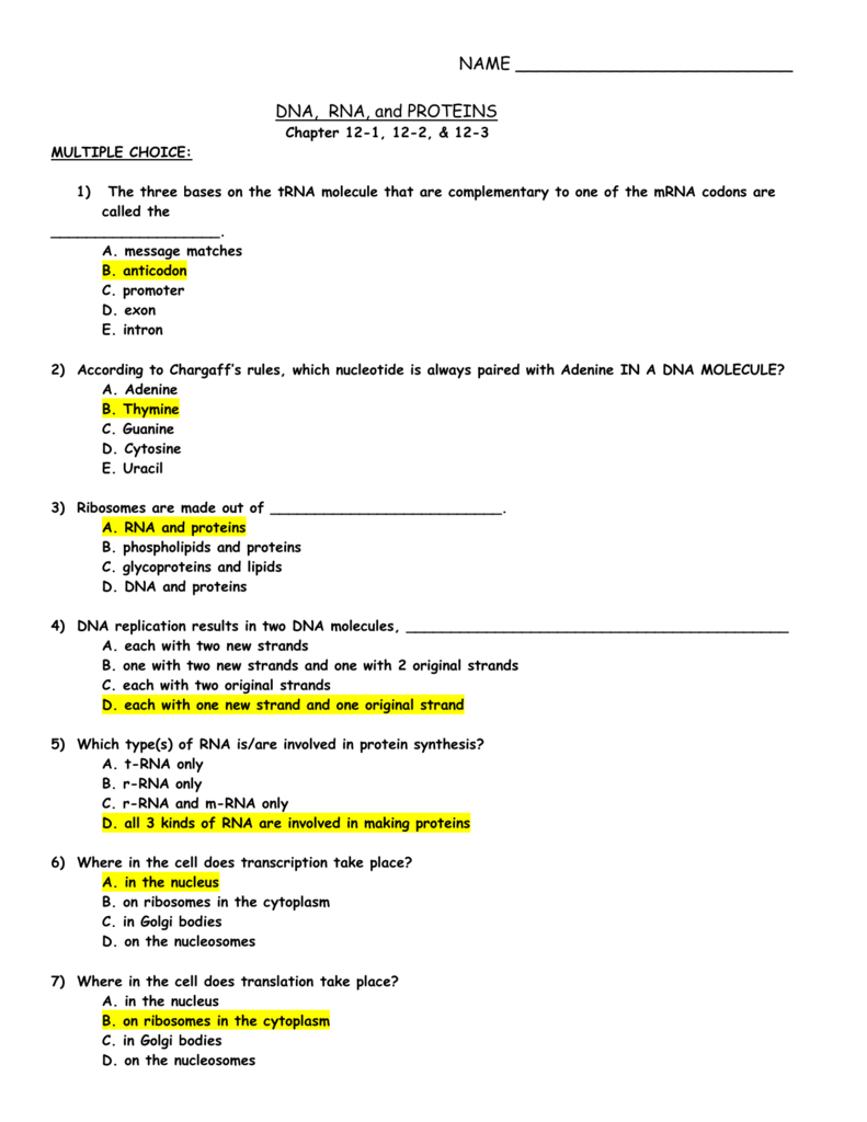  Dna Rna And Proteins Worksheet Answer Key Db excel