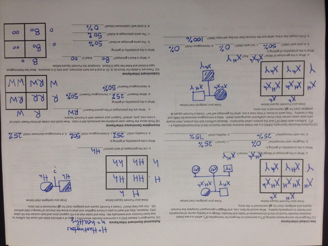 Dna And Forensics Worksheet Answers