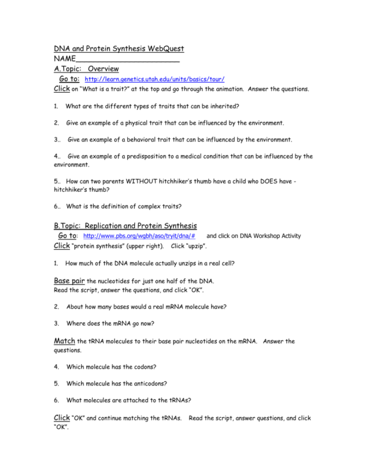 dna-and-protein-synthesis-webquest-db-excel