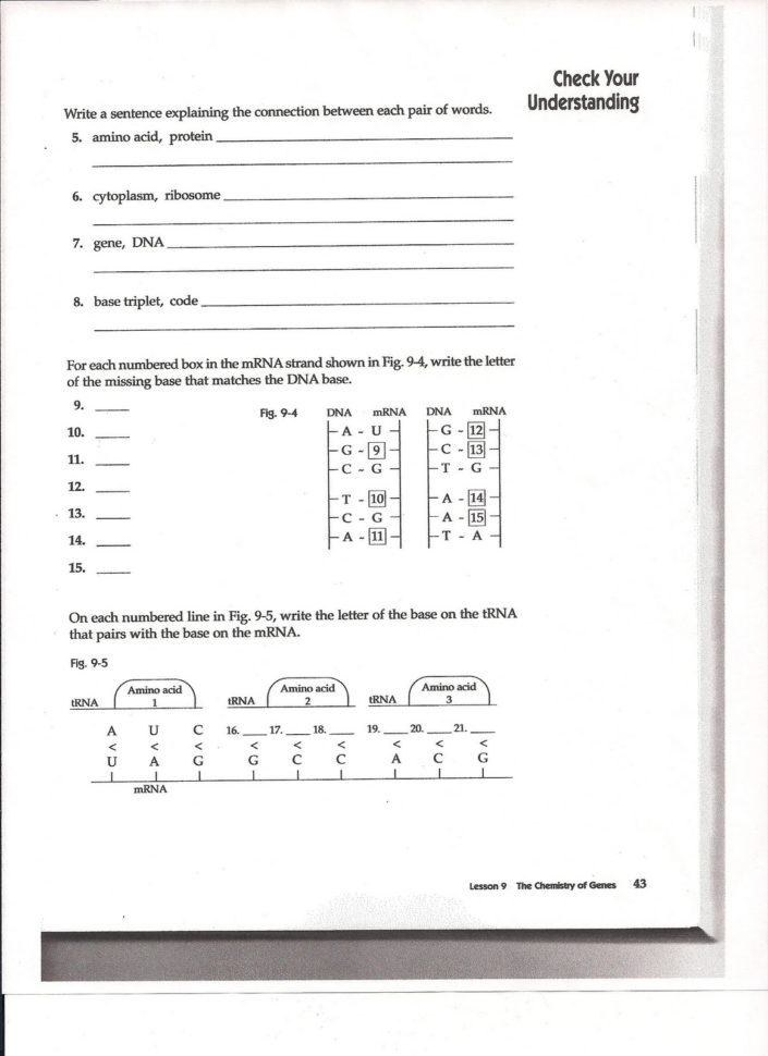 Dna And Protein Synthesis Worksheet Answers Cool Say It With Dna