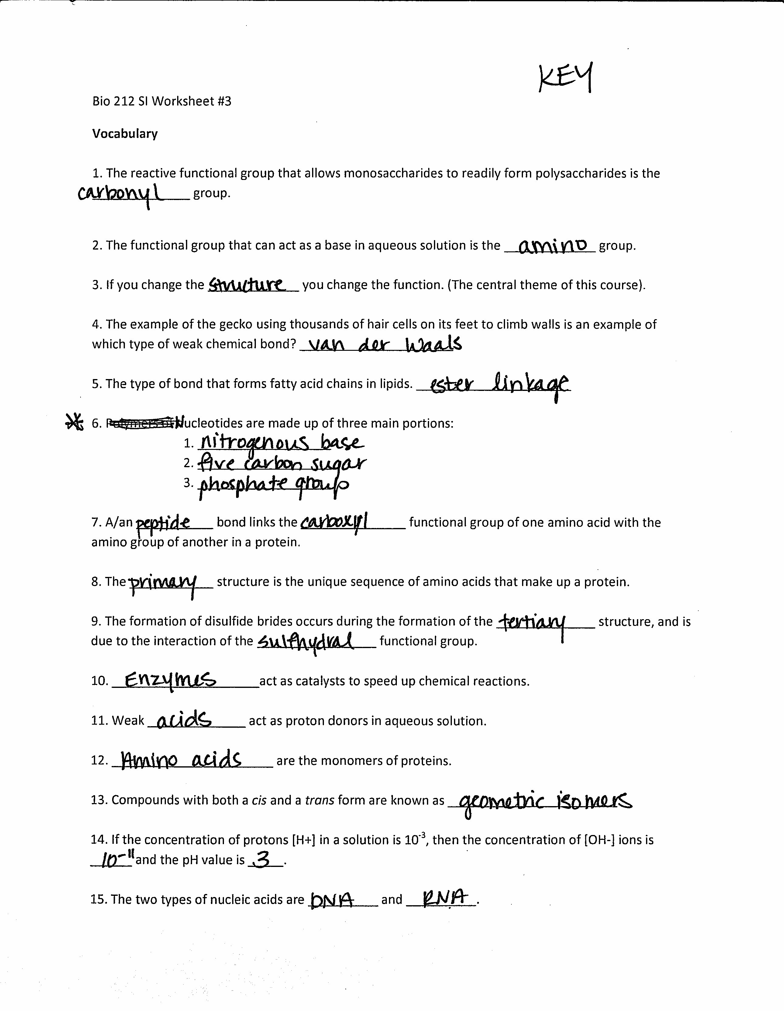 12 2 The Structure Of Dna Worksheet Answers