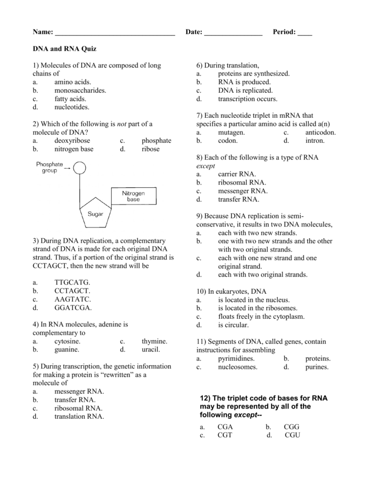 Dna Structure Quiz Worksheet