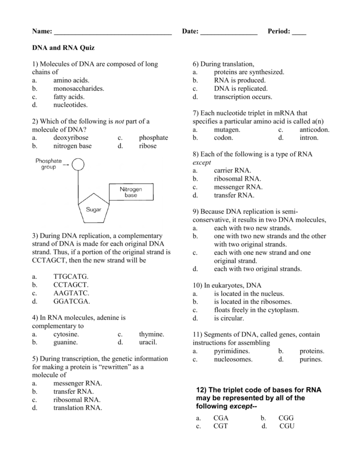 Dna And Rna Quiz