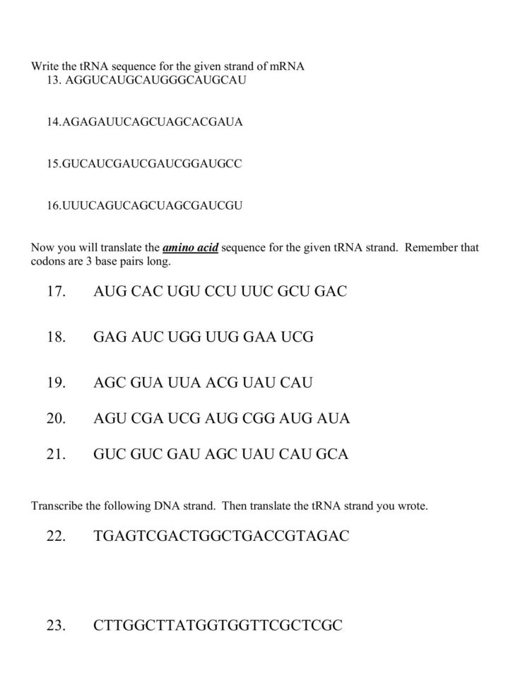 Dna Base Pairing Worksheet Answers