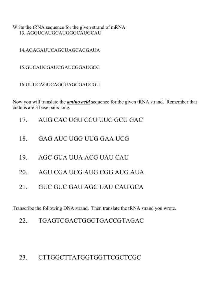 Dna Base Pairing Worksheet Answer Sheet — db-excel.com