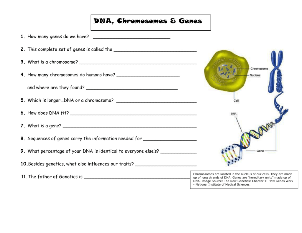 dna-chromosomes-and-genes-notes-for-powerpoint-visual-db-excel