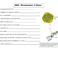 Dna Chromosomes And Genes Notes For Powerpoint Visual