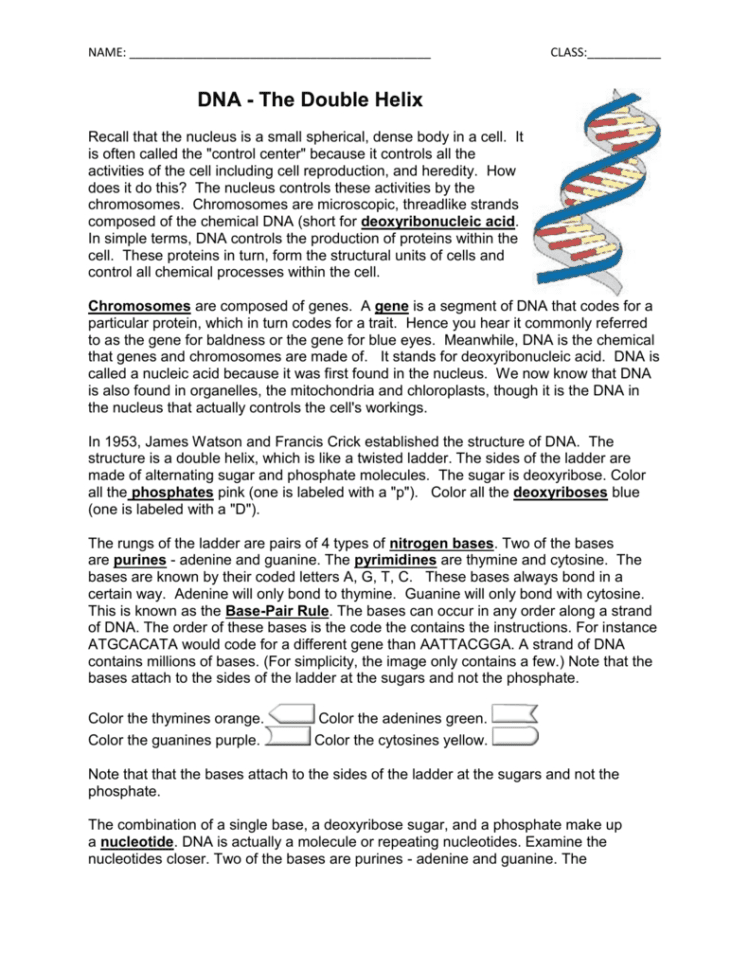 Dna  Coloring