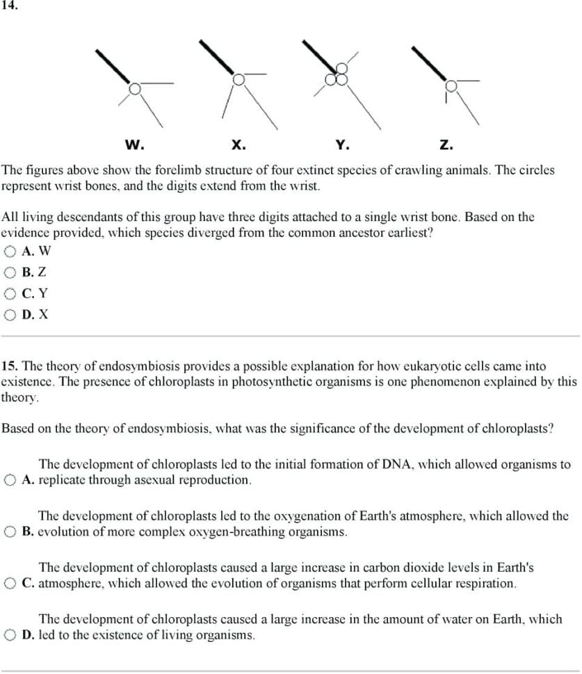 Dna Coloring Sheet – Shieldprintco