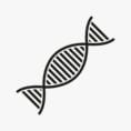 Dna Drawing  Free Download Best Dna Drawing On Clipartmag