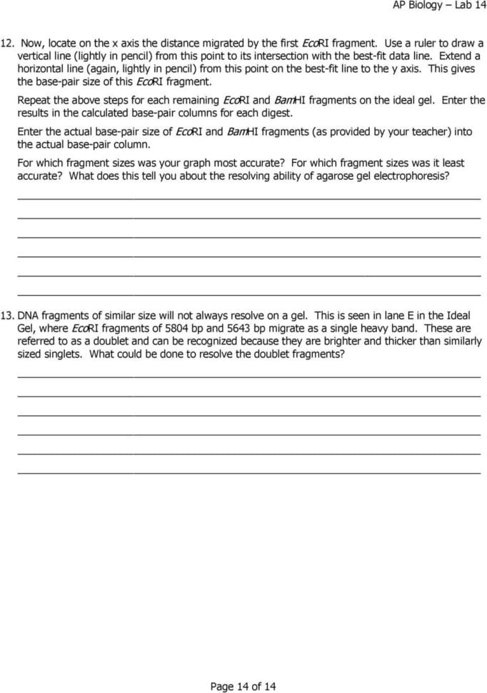 Dna Fingerprinting And Paternity Worksheet Answer Key