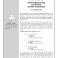 Dna Fingerprinting Lab Activity Student Study Guide Background