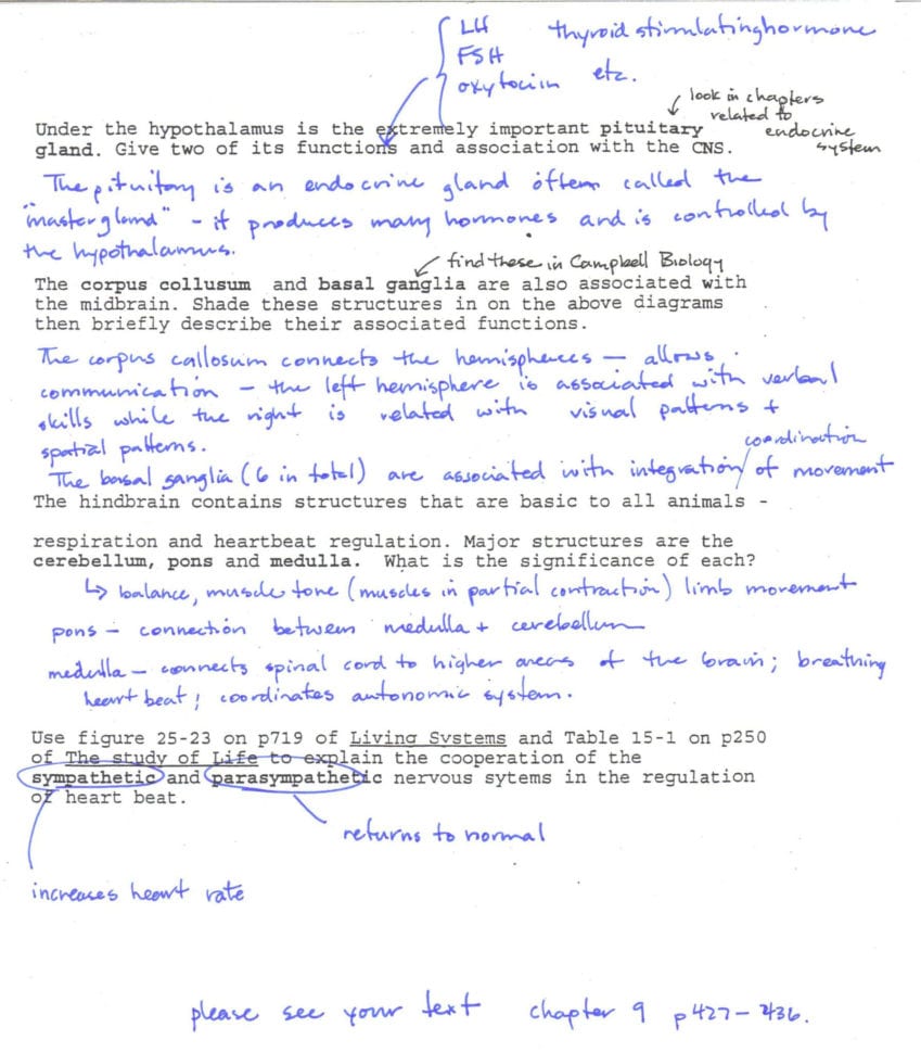 Dna Fingerprinting Worksheet  Pleasing Bill