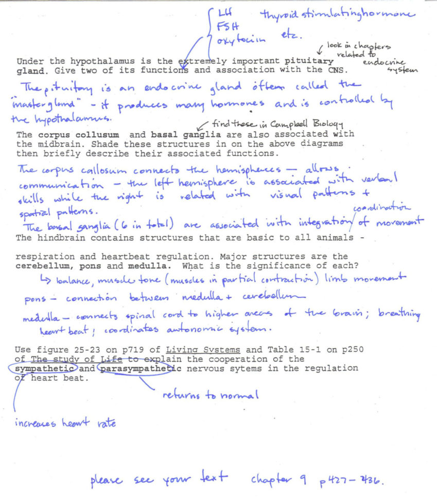 Dna Fingerprinting Worksheet  Pleasing Bill Nye Brain