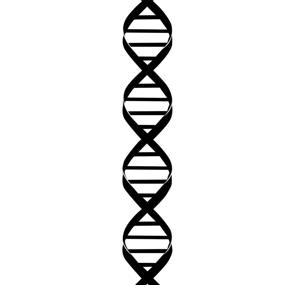 Dna Helix Drawing  Free Download Best Dna Helix Drawing On