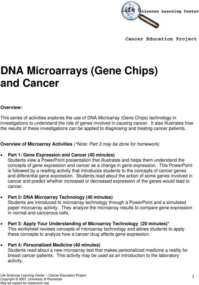 Dna Microarrays Gene Chips And Cancer  Pdf
