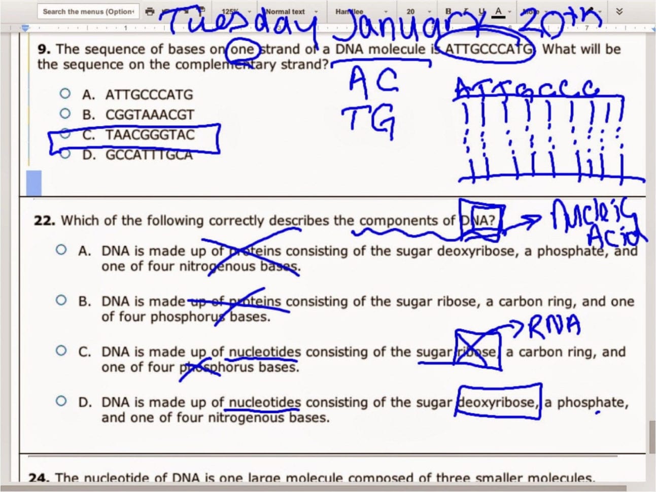 Dna Molecule And Replication Worksheet Answers