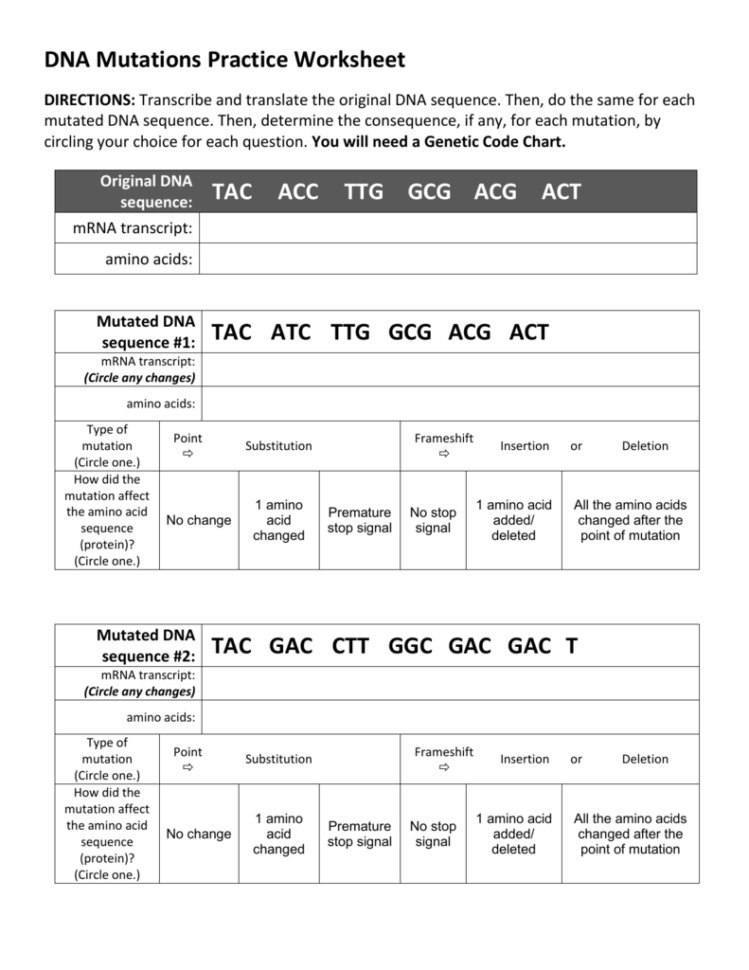 Dna Mutations Practice Worksheet Answers