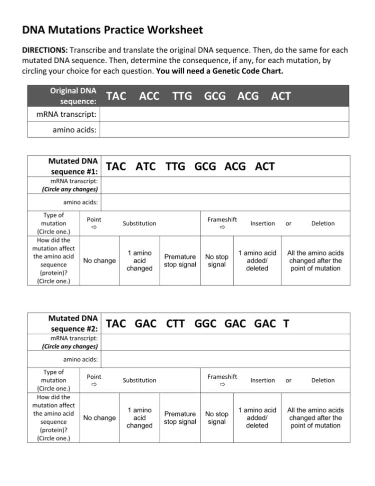 Dna Mutations Practice Worksheet