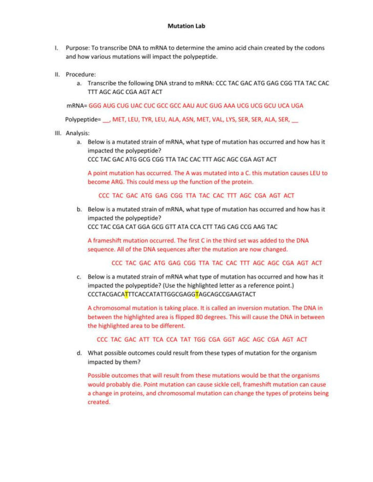 Mutations Worksheet Answers