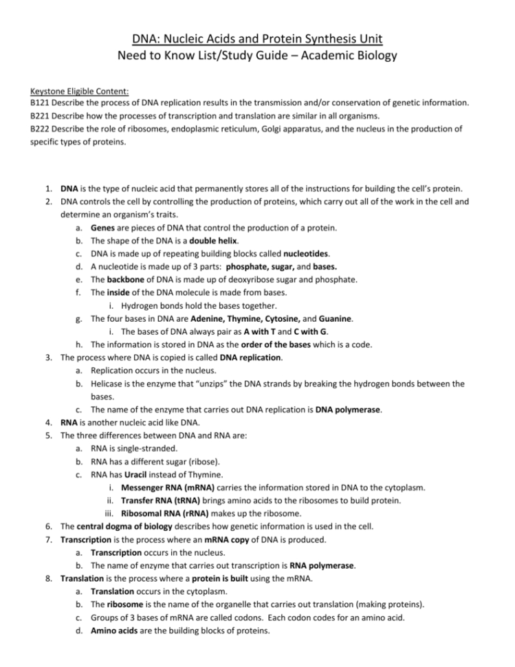 Dna Nucleic Acids And Protein Synthesis Unit
