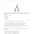 Dna Nucleotide Coloring Worksheet – Deucesheetco