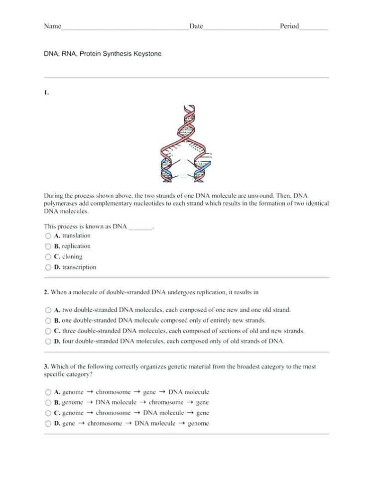 Dna Nucleotide Coloring Worksheet – Deucesheetco
