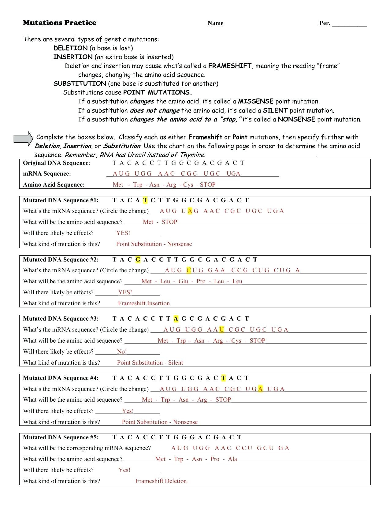 Transcription And Translation Practice Worksheet