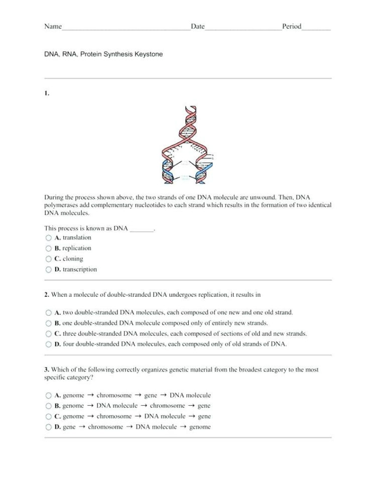 Dna Nucleotide Coloring Worksheet – Deucesheetco