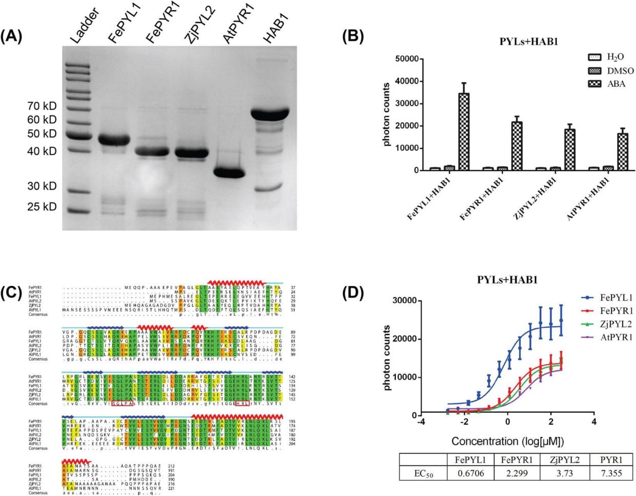 Dna Profiling Using Strs Worksheet Answers