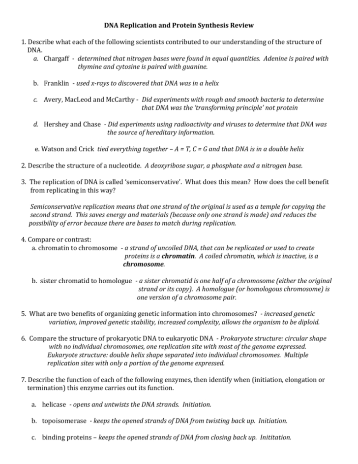 Dna Structure And Replication Review Worksheet
