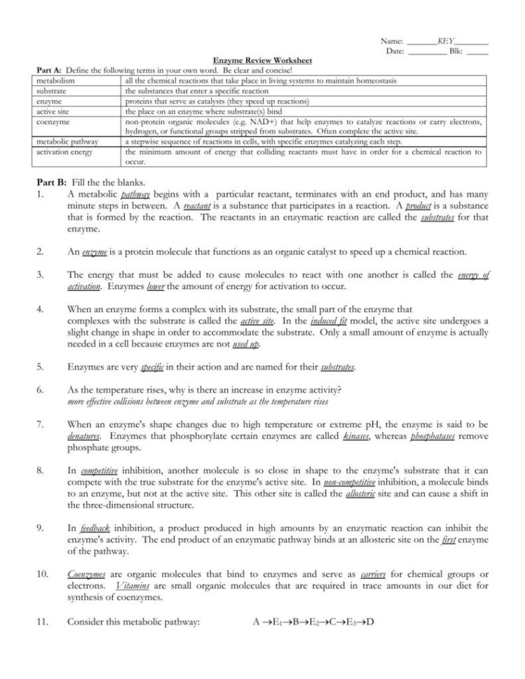 Dna Replication And Protein Synthesis Worksheet Answer Key