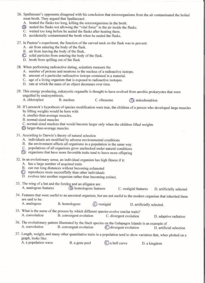 Dna Replication And Rna Transcription Worksheet Answers