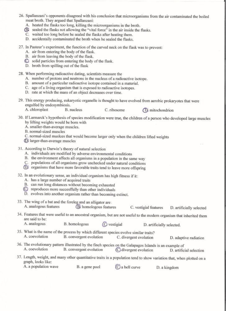 Dna Replication And Rna Transcription Worksheet Answers — db-excel.com