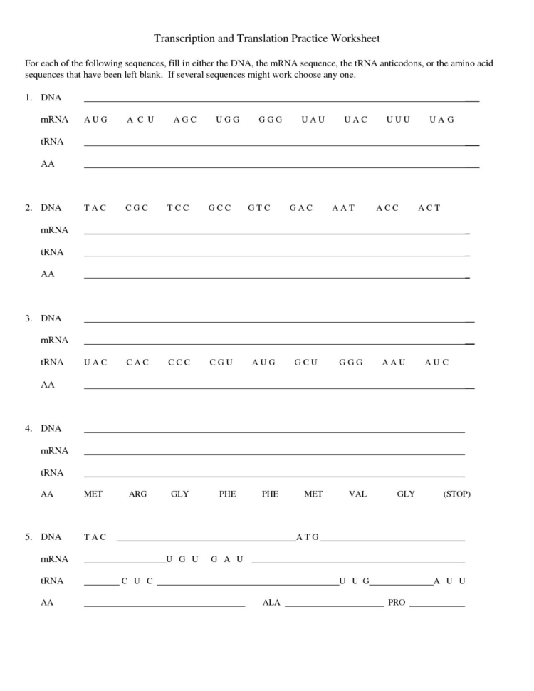 Dna Replication And Transcription Worksheet Answers