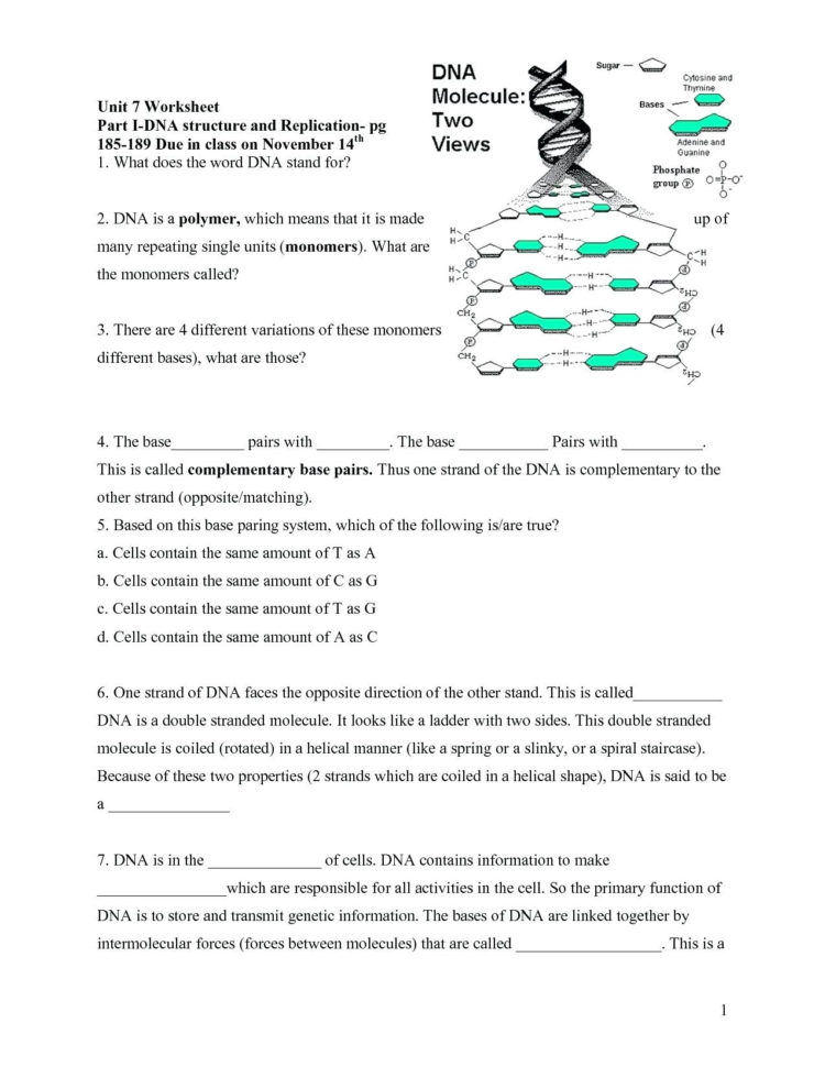 Dna Replication Coloring Sheet – Quorumsheetco